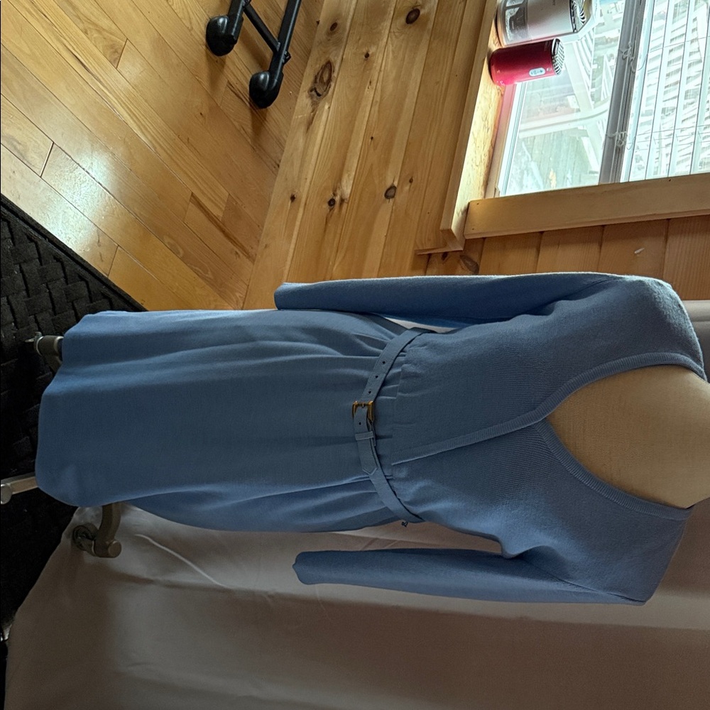 Elegant Blue Long-Sleeve Dress